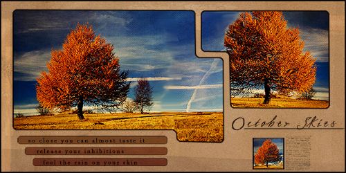 Sample Header [Shrunk To Fit Page]