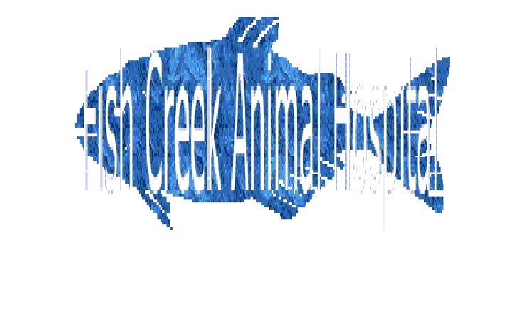 FishCreek Logo