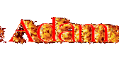 adam