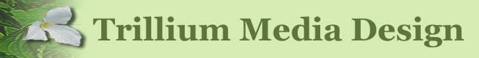 trillium media design