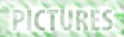 Pictures