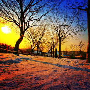 The Origional Picture